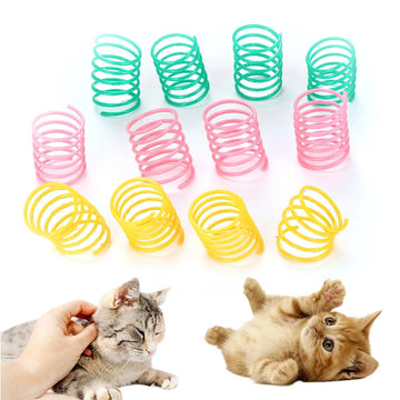 Colorful Spiral Cat Springs
